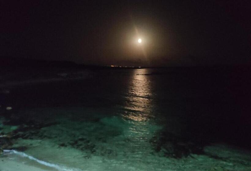 膳宿费 Oasi̇s At Ayfi̇lon