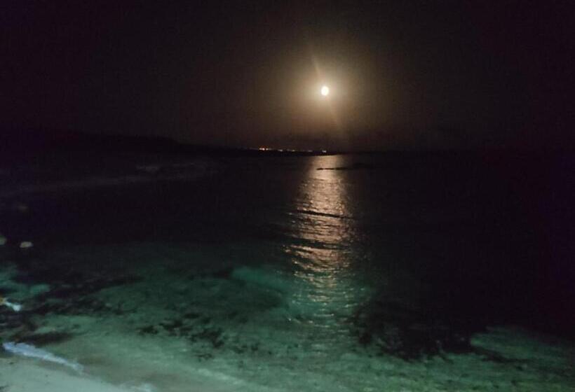 膳宿费 Oasi̇s At Ayfi̇lon