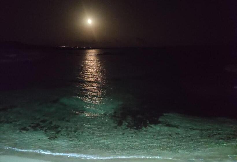 膳宿费 Oasi̇s At Ayfi̇lon