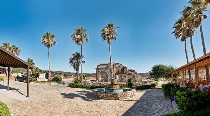 膳宿费 Oasi̇s At Ayfi̇lon