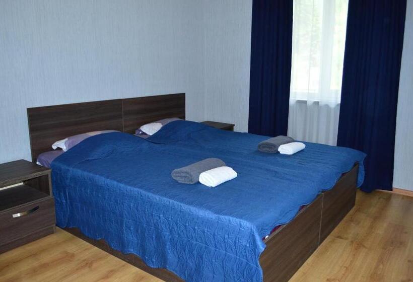 پانسیون Shoda