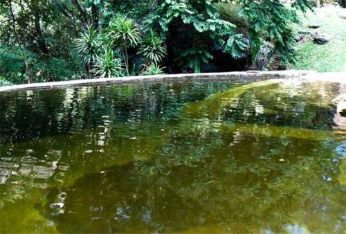 호스텔 Pousada Jacu Acu