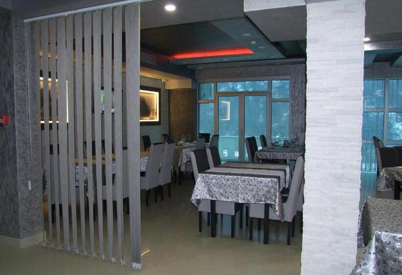 B&b Hisar International