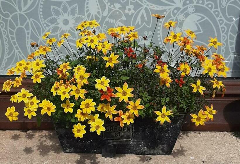 ベッドアンドブレックファースト Au Cœur De Mauchat, Pour Une Escapade Romantique