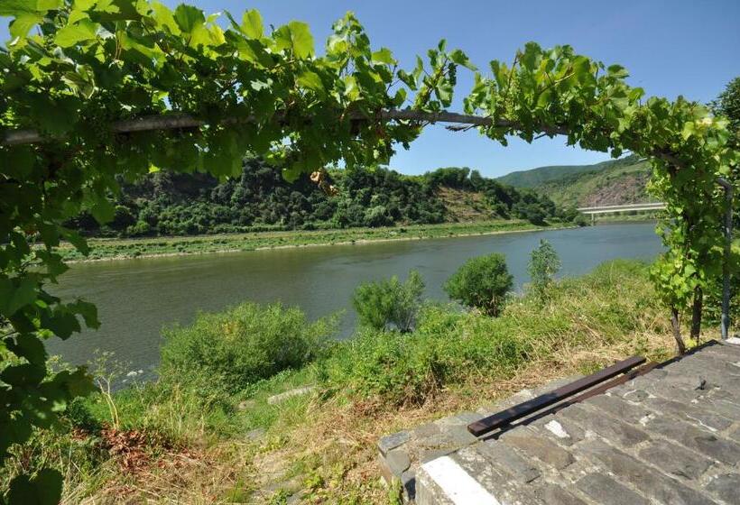 צימר Gästezimmer Im Weingut Amlinger&sohn