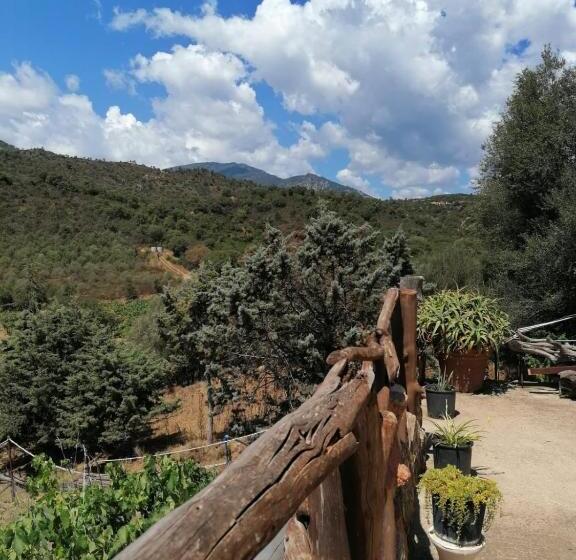 住宿加早餐  Sa Cronta Affitacamere