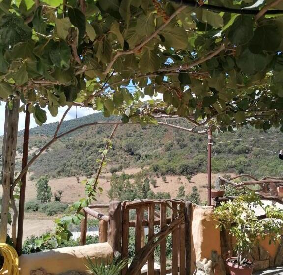 住宿加早餐  Sa Cronta Affitacamere