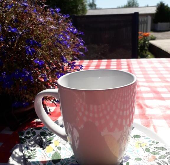 ホテル Minnan Majoitus