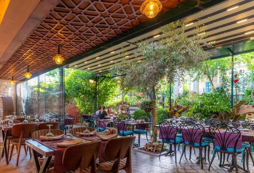 בית מלון כפרי Olive Garden Suite