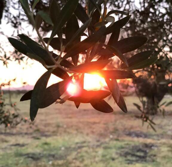 בית מלון כפרי Resort Fonte Vulci