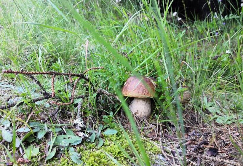 بنسيون Affittacamere Da Silvia