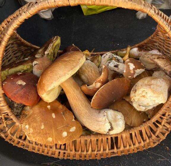 بنسيون Affittacamere Da Silvia