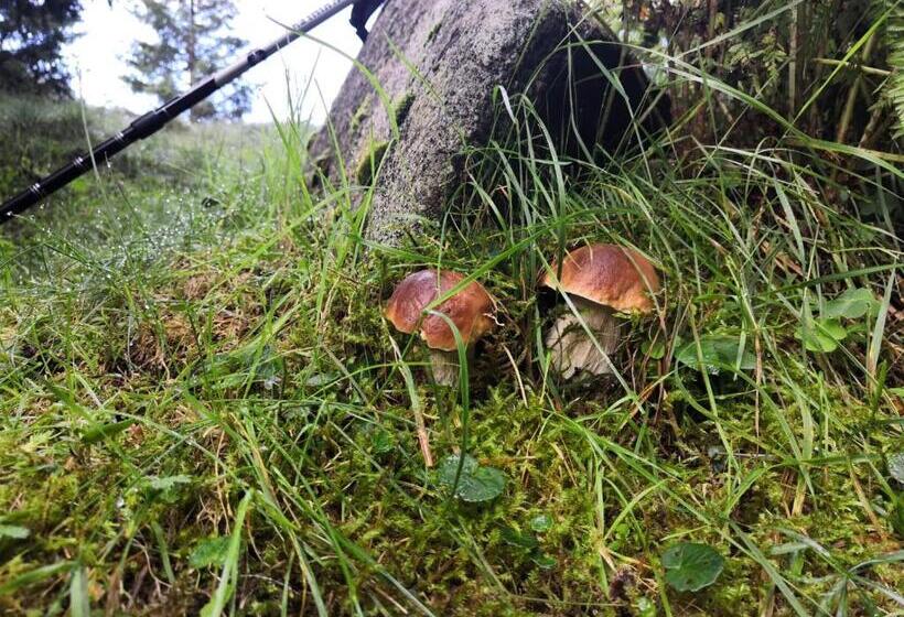 بنسيون Affittacamere Da Silvia