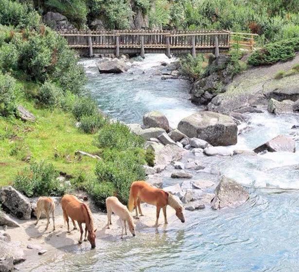 بنسيون Affittacamere Da Silvia