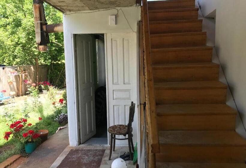 پانسیون Chveni Ezo