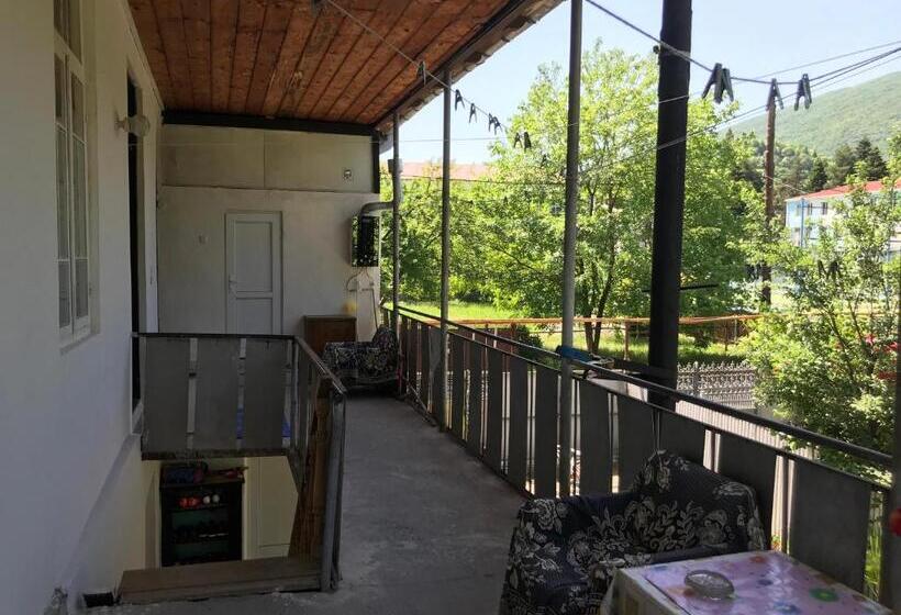 پانسیون Chveni Ezo