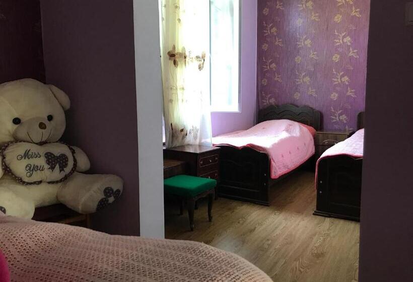 پانسیون Chveni Ezo