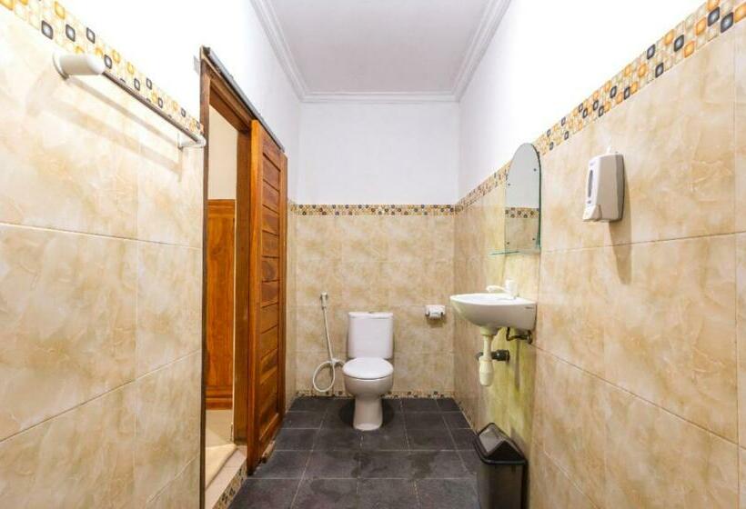 פנסיון Doubleg Guest House