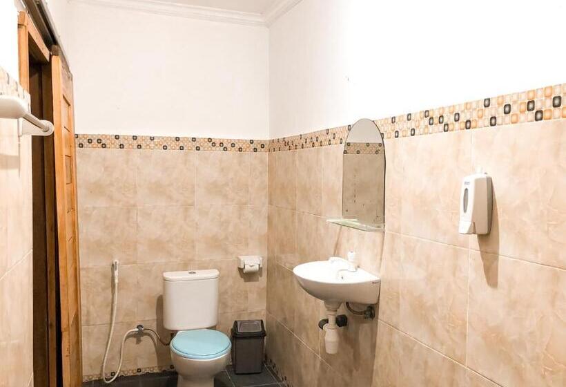 פנסיון Doubleg Guest House