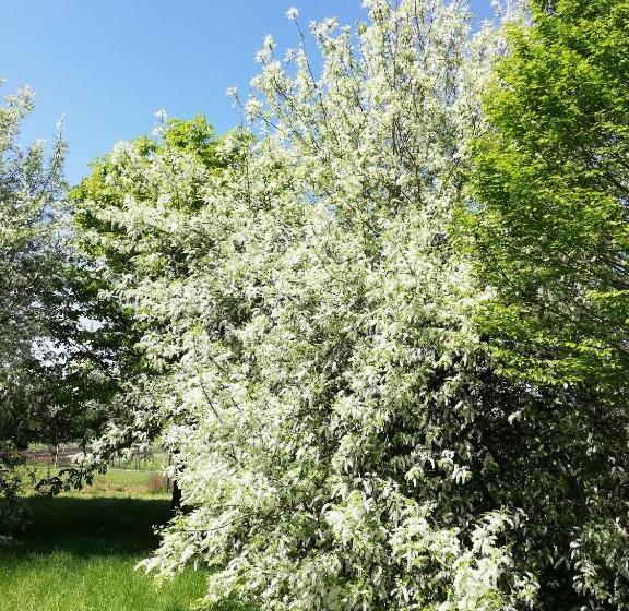 펜션 Gite Le Clos Constance