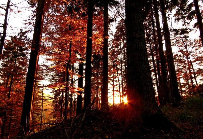 پانسیون Gostilna Tratnik