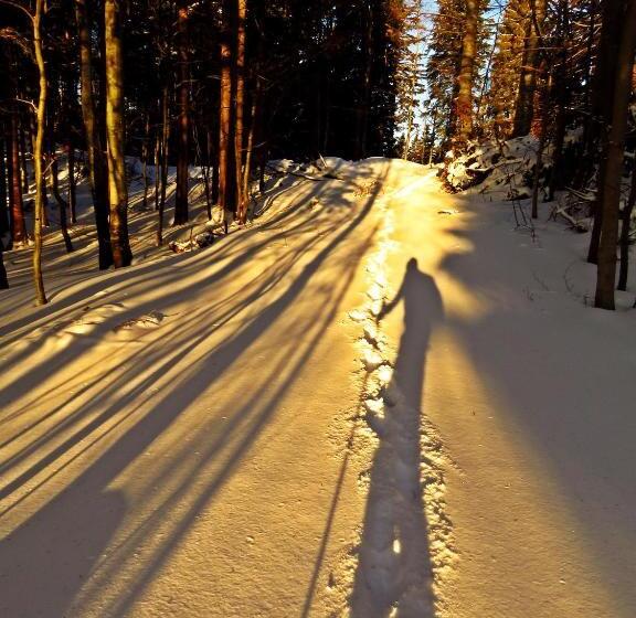 پانسیون Gostilna Tratnik