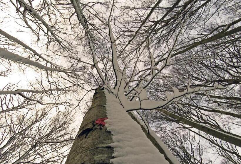 پانسیون Gostilna Tratnik