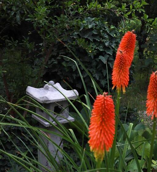 پانسیون Greengate