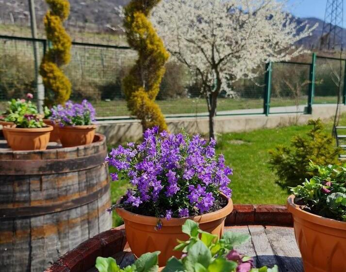 پانسیون Karse