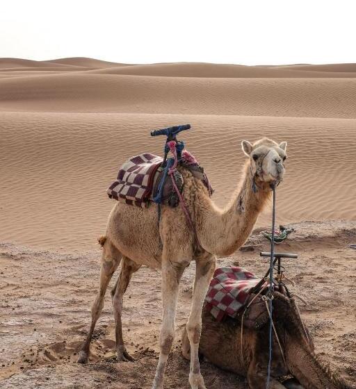 بنسيون Kasbah Aitisfoul