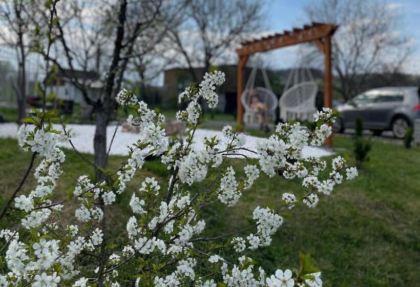 פנסיון La Căsuțe