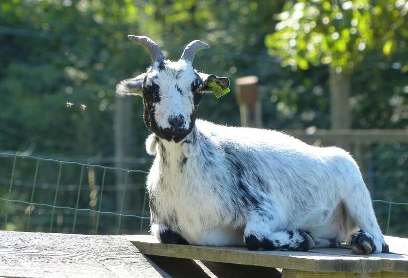 펜션 Le Paradis Des Animaux