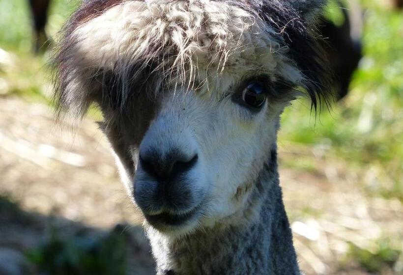 펜션 Le Paradis Des Animaux