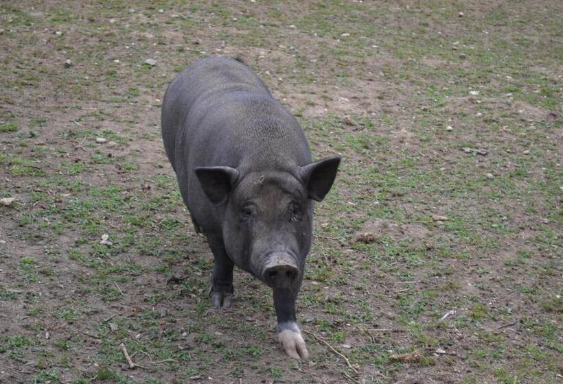 펜션 Le Paradis Des Animaux