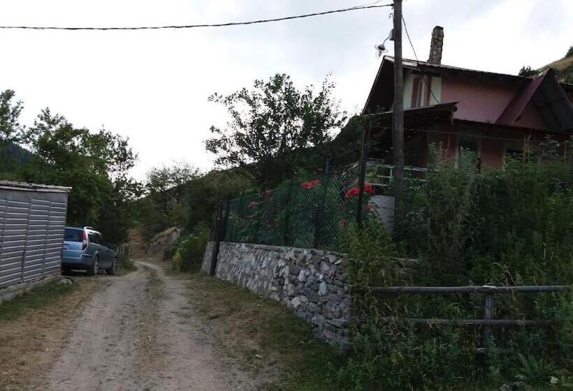 پانسیون Villa Vrben