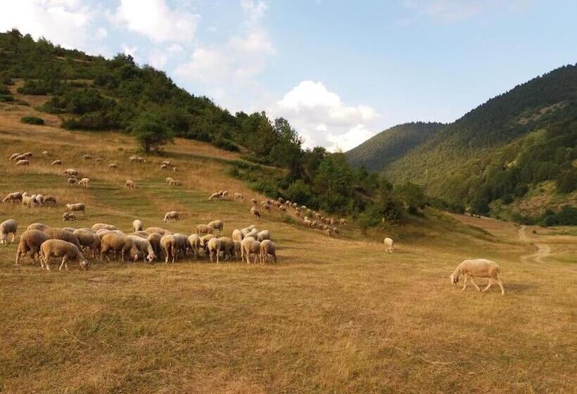 پانسیون Villa Vrben