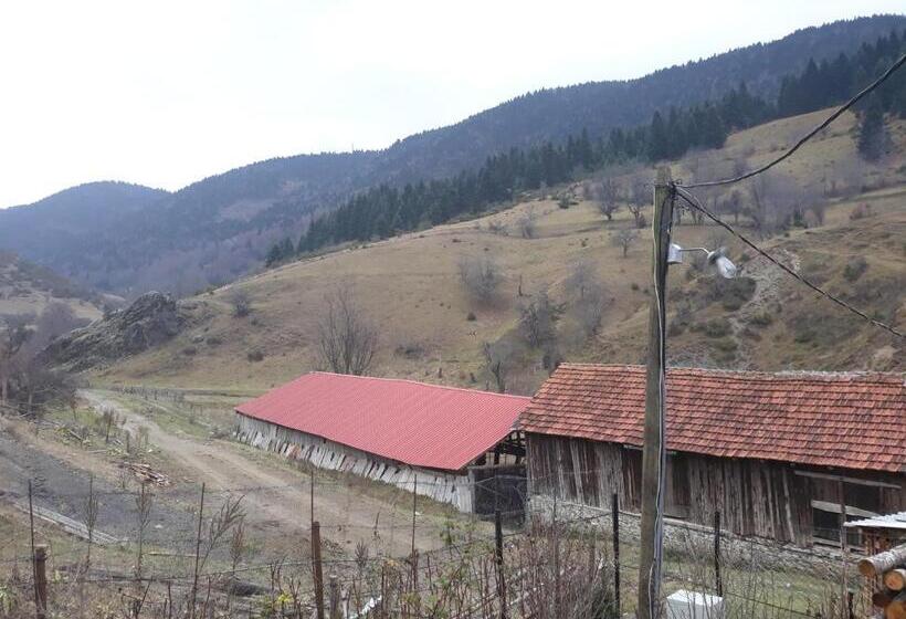 پانسیون Villa Vrben