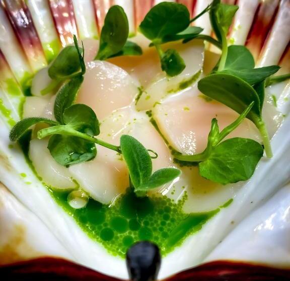 אתר נופש Aurora Borealis Observatory