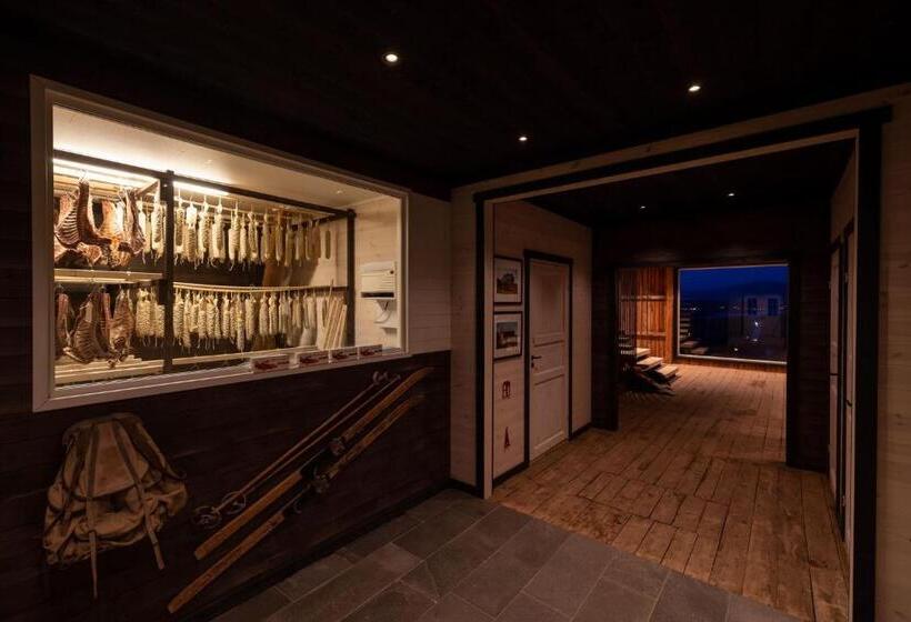 אתר נופש Aurora Borealis Observatory