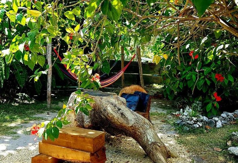 فندق صغير Casa Ricky S