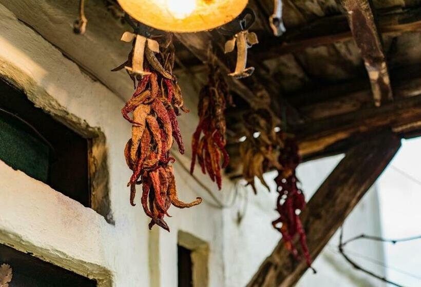 هاستل Etno House Shancheva