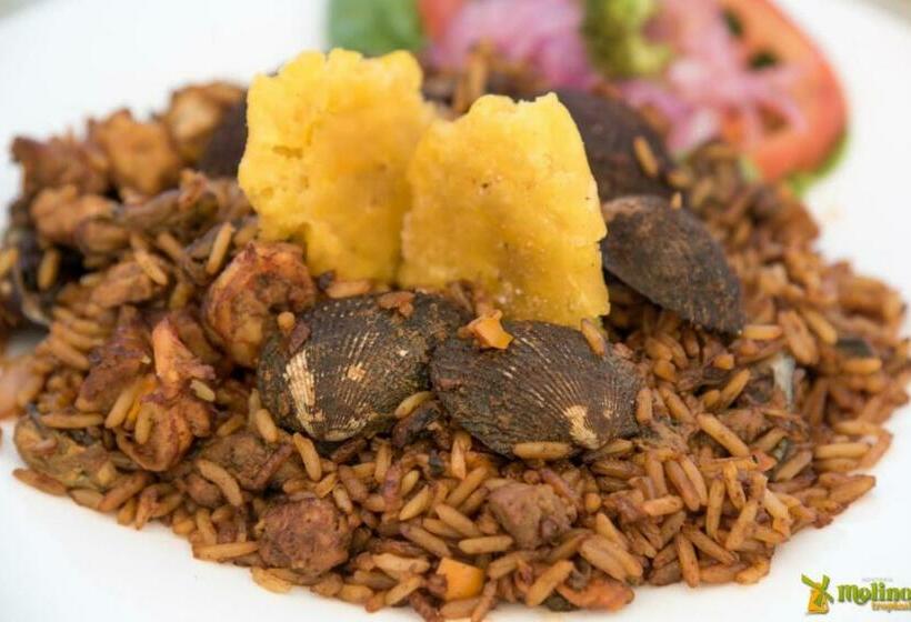 הוסטל Hostería Molino Tropical