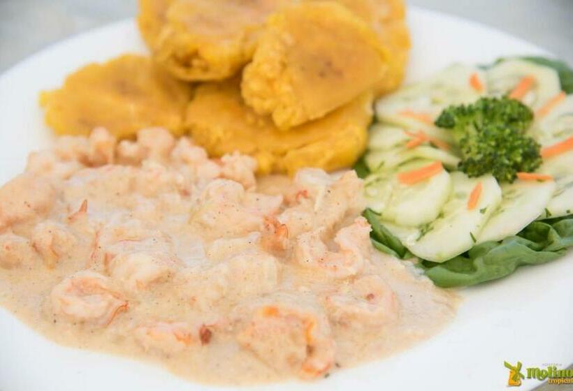 הוסטל Hostería Molino Tropical