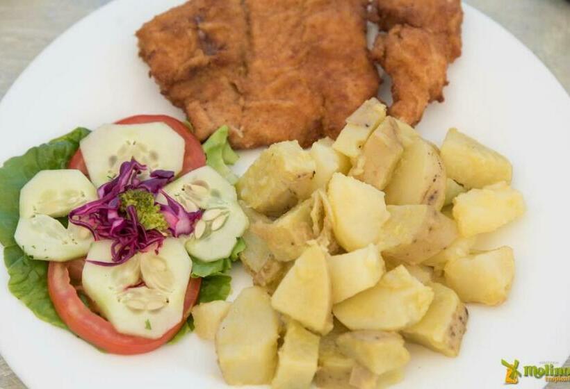 הוסטל Hostería Molino Tropical