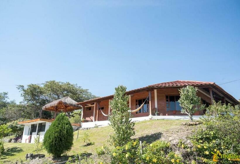 호스텔 Hostería Molino Tropical