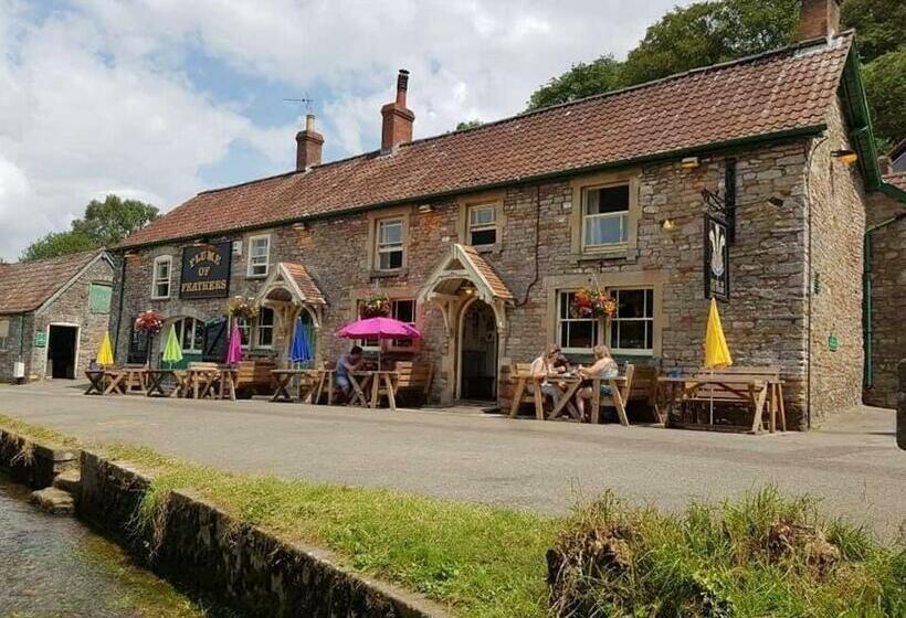 旅馆 Plume Of Feathers