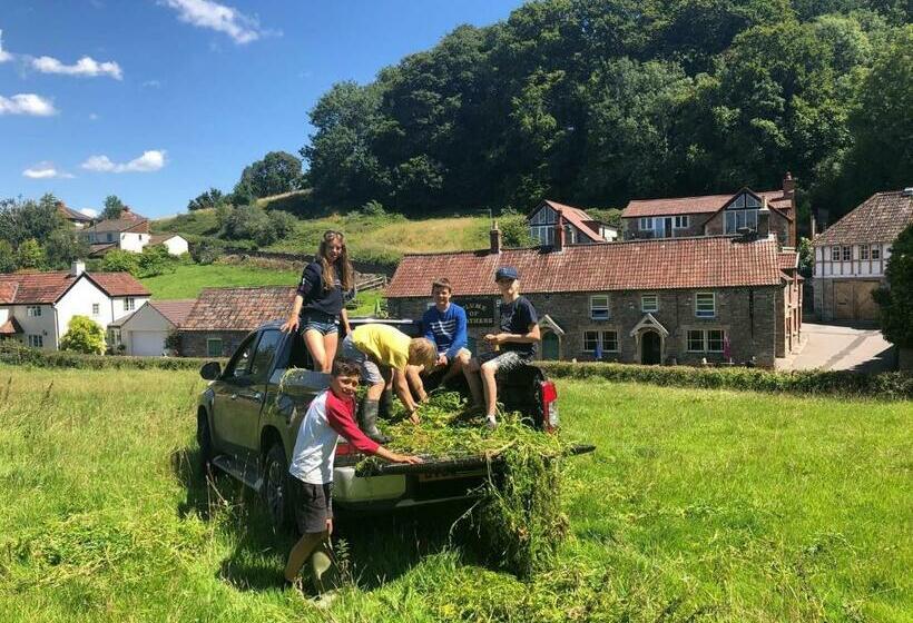 فندق صغير Plume Of Feathers