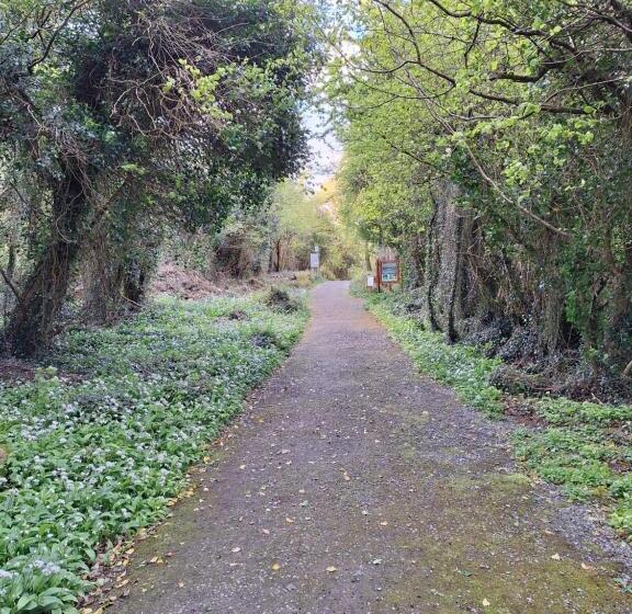 צימר Ard Aoibhinn Roscommon