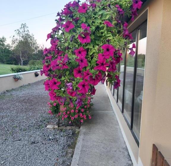 צימר Ard Aoibhinn Roscommon