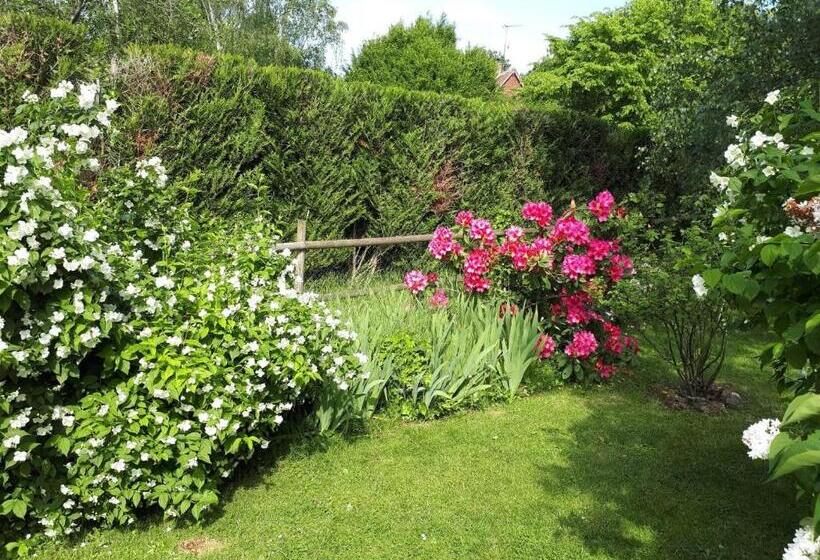 Bed and Breakfast Chambre D Hôte De La Rotterie